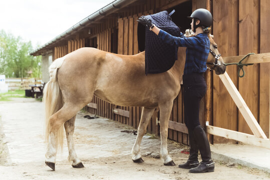 Female Jockey Saddling Up Her Light Brown Horse. Placing A Saddle Pad On The Back Of Her Horse To Protect It From Saddle Sores. The Girl Wearing A Helmet And Gloves. Preparing For The Competition.