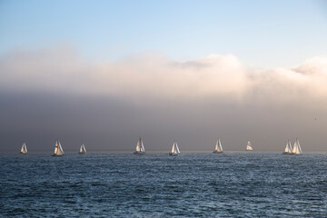 Sailboats on the sea in California