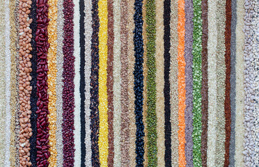 Variety kinds of natural cereal and grain seed stripe background, for healthy or clean food...