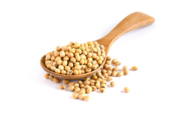 Closed up dry organic soybean seed pile in wooden spoon on white background