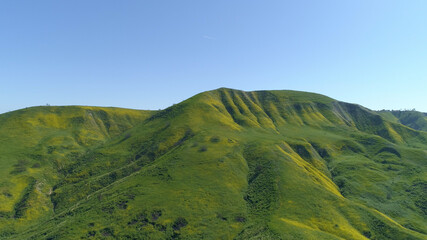 Obraz premium Green flowery Field Blue Sky Malibu, Santa Monica Mountains, Agoura Hills, Calabasis Aerial