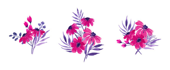 fuchsia watercolor flower arrangement separated vector set