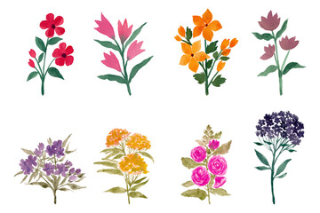 watercolor flower vector set