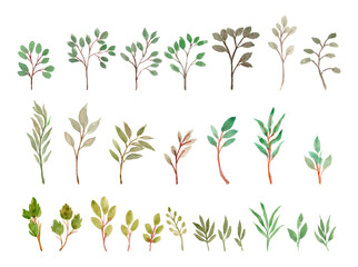 watercolor leaves separated vector set