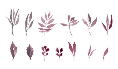 watercolor leaf separated vector set