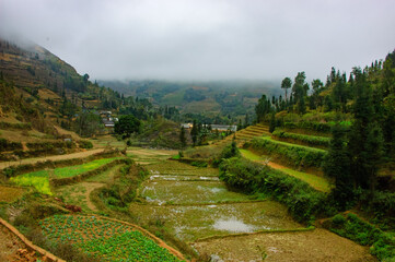 I traveled to Southeast Asia such as Thailand Bali  and Singapore.
