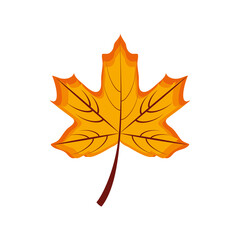 leaf autumn botanical