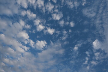 青空に鱗のような雲が面白い。
The scale-like clouds in the blue sky are interesting.