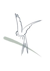 Outline bird. Icon. Line art. Minimalistic.
