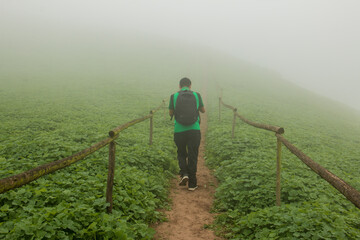 Man walking on dirt path with wooden railings, the landscape is green and cloudy.