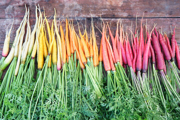 Colorful rainbow carrots on a wooden table.