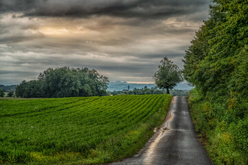 after the summer rain 