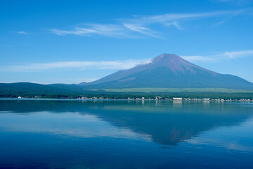 【山梨】山中湖長池親水公園から見る夏の富士山