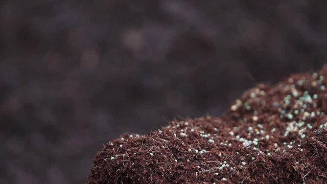 Mixing fertilizer with compost soil at nursery