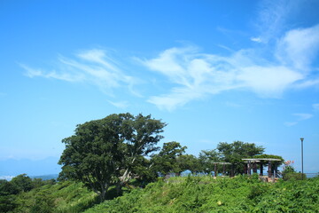 Obraz premium 高麗山公園