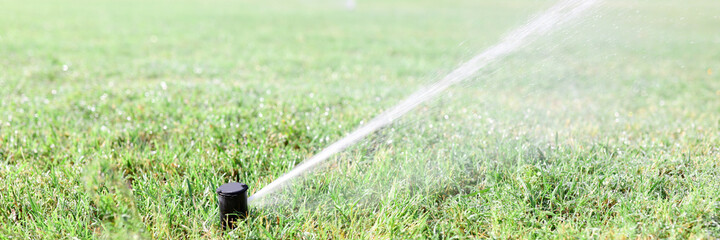 Obraz na płótnie Canvas Watering green grass with sprinkler system during drought
