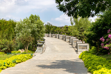 Road under the sun with green trees