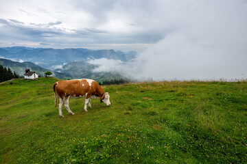 Fototapeta na wymiar The beautiful Wildschönau region lies in a remote alpine valley at around 1,000m altitude on the western slopes of the Kitzbühel Alps