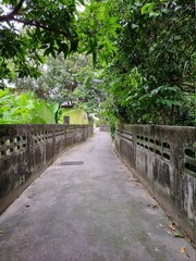 Fototapeta premium path in the park