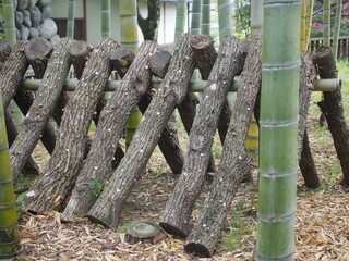 竹林でシイタケ栽培