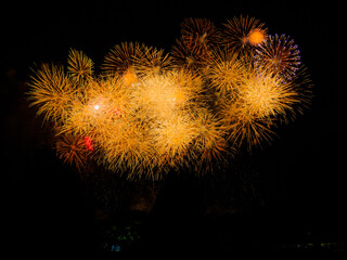 Fireworks, a Japanese summer tradition.