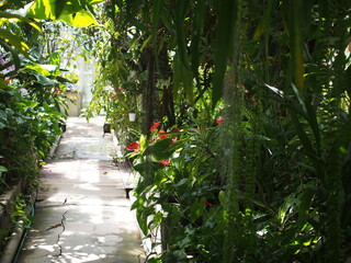 下賀茂熱帯植物園