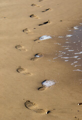Beach scenes from the Lookout Beach in Plettenberg Bay in South Africa