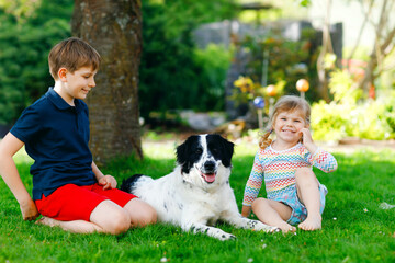 School kid boy and little toddler girl playing with family dog in garden. Two children, adorable siblings having fun with dog. Happy family outdoors. Friendship and love between pet animal and kids