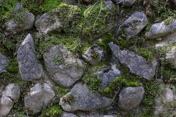 mossy stone wall
