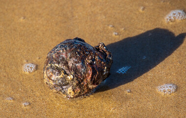 Beach scenes from the Lookout Beach in Plettenberg Bay in South Africa