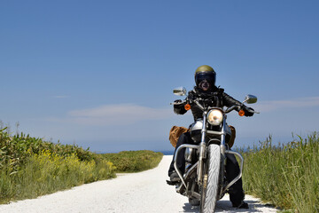 白い道を駆ける