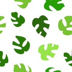 Rhaphidophora tetrasperma mini monstera dwarf leaf aroid pattern seamless vector template on white background