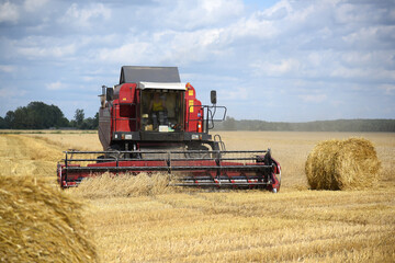 A grain harvester collects ripe ears of grain, there are bales of straw on the field.