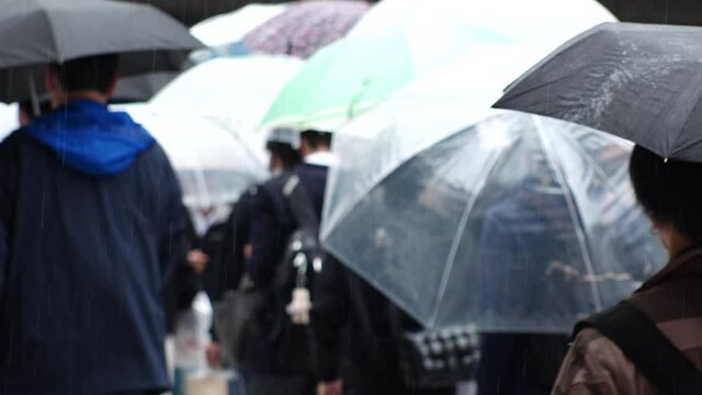 OSAKA, JAPAN - APR 2021 : Back shot of crowd of people walking down the street. Slow motion shot in rain. Commuters with umbrella.