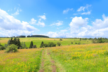 Obraz premium Beautiful landscape - Long Rhön plateau, Germany