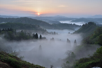 新潟、棚田の景色