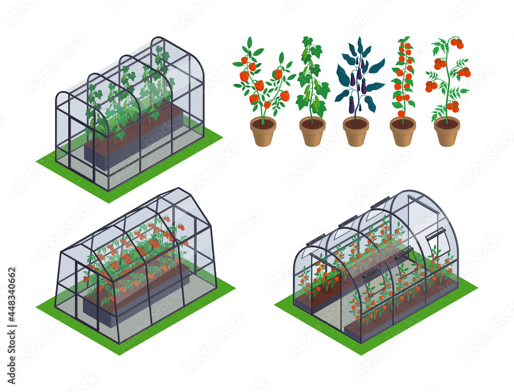 Poster Isometric Greenhouse Vegetables Icon Set