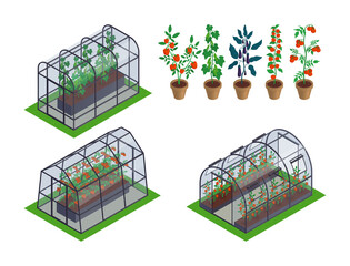 Isometric Greenhouse Vegetables Icon Set