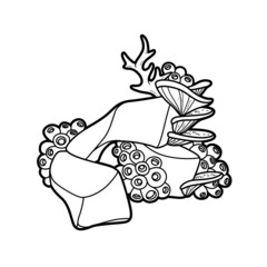 Corals grow on rocks coloring book linear drawing isolated on white background