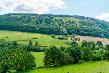 Fototapeta na wymiar Countryside in rural Wales