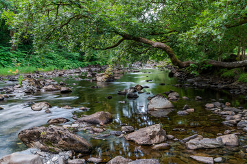 River Llugwy in Betws-y-coed