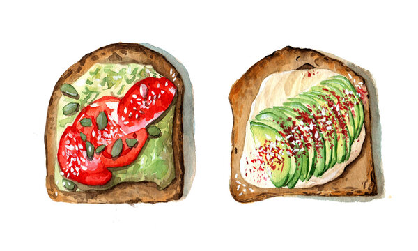 Watercolor vegan sandwiches, toasts with tomato, avocado and guacamole. Food art, tasty drawing. Illustration for cookbook or kitchen poster. Raster stock image in bright realistic style.
