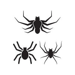 Spider icon design set bundle template isolated