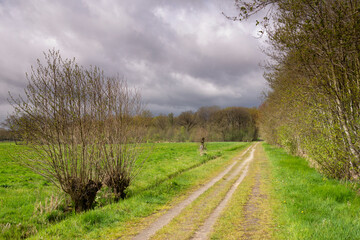 Fototapeta na wymiar Heavy clouds above a road on the Henschoten estate