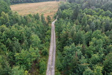 Asfaltowa droga w wysokim sosnowym lesie. Widok z drona.