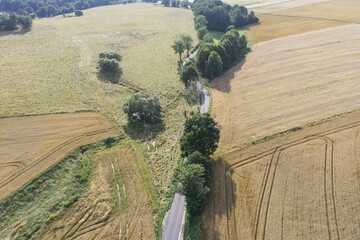 Przedgórze sudeckie. Nierówny pofałdowany teren pokryty polami uprawnymi, łąkami i kępami drzew, przez który przechodzi wąska droga. Zdjęcie wykonano z użyciem drona.