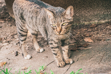 I traveled to Southeast Asia such as Thailand and Singapore.