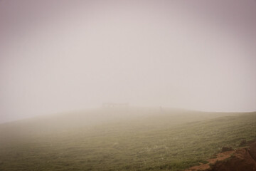 misty morning mist in the forest, log in the forest