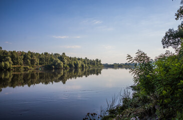 Naklejka na ściany i meble River with cane and trees on the riverside in the morning. Morning riverbank on a calm and clear summer morning. Desna river. Ukraine