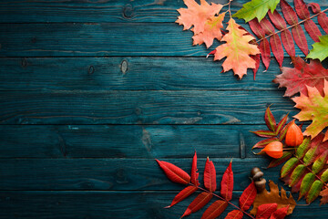 Colorful autumn leaves flat lay. On a blue wooden background. Top view. Free space for your text.